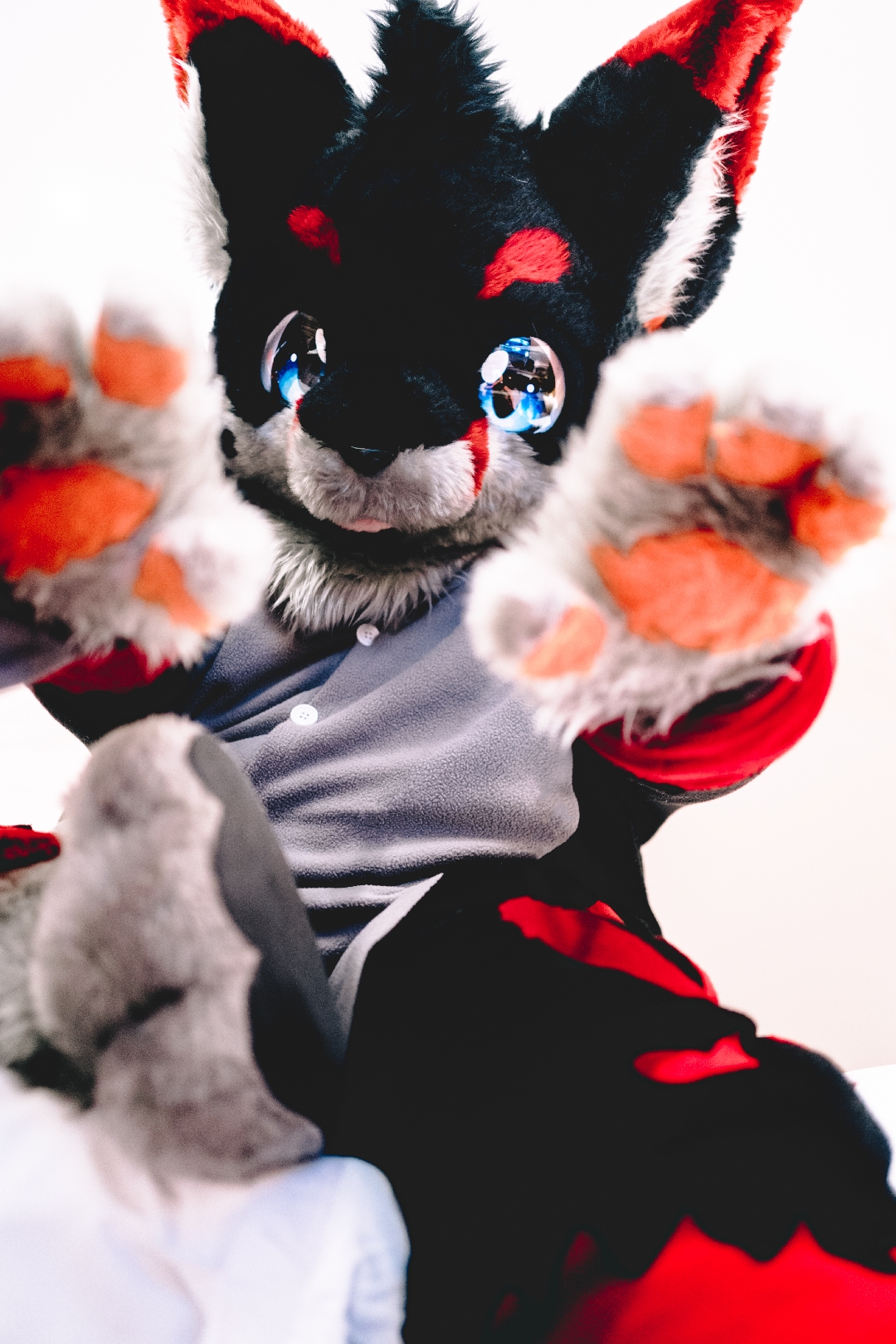 你的大可爱正在等你抱他 #fursuitfriday#浏览:2101收藏:0支持:191