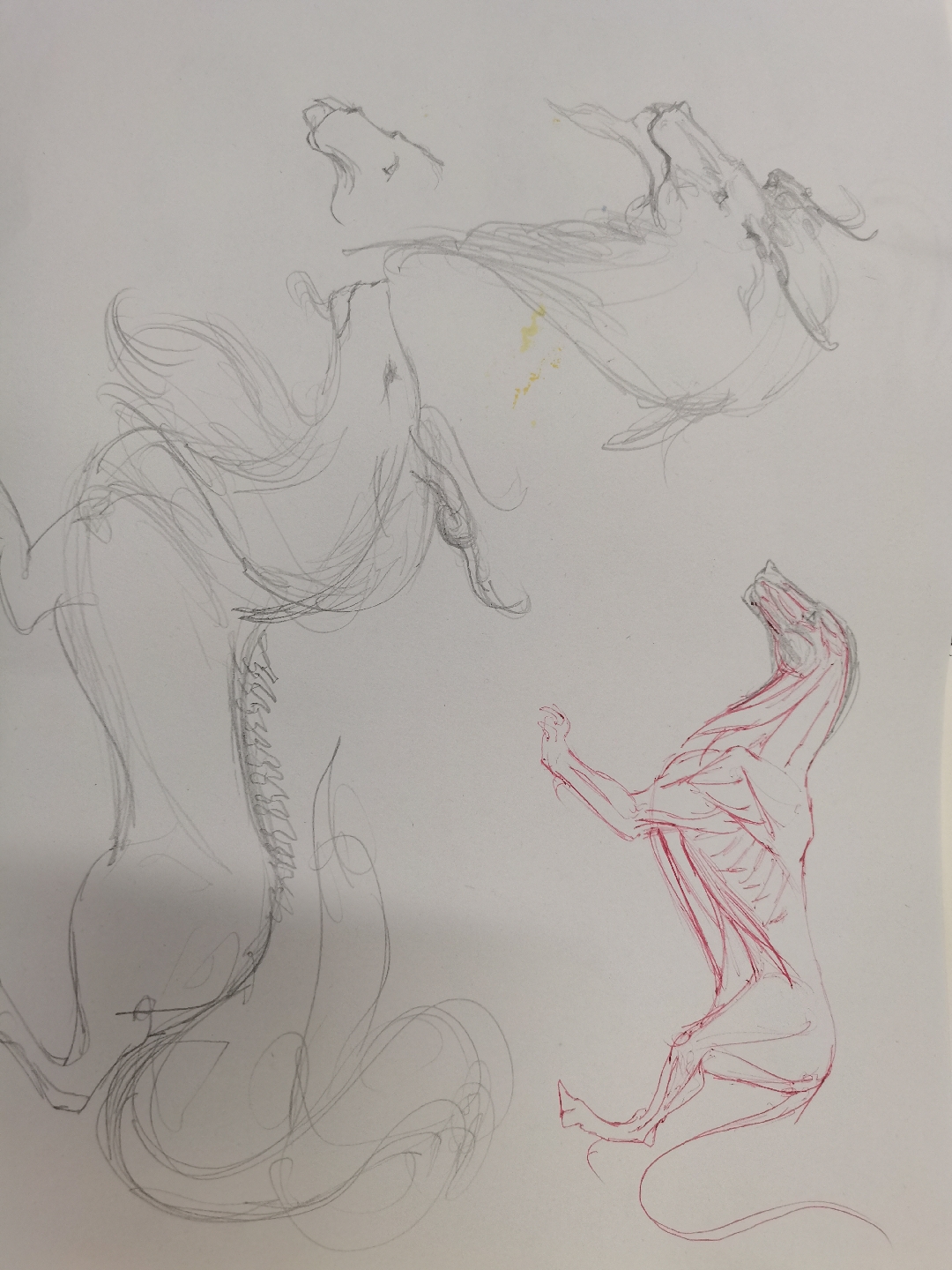 ta 的直播间闲置中南方巨兽龙素描讲解包龙社柳老仙人14ta 的小视频0