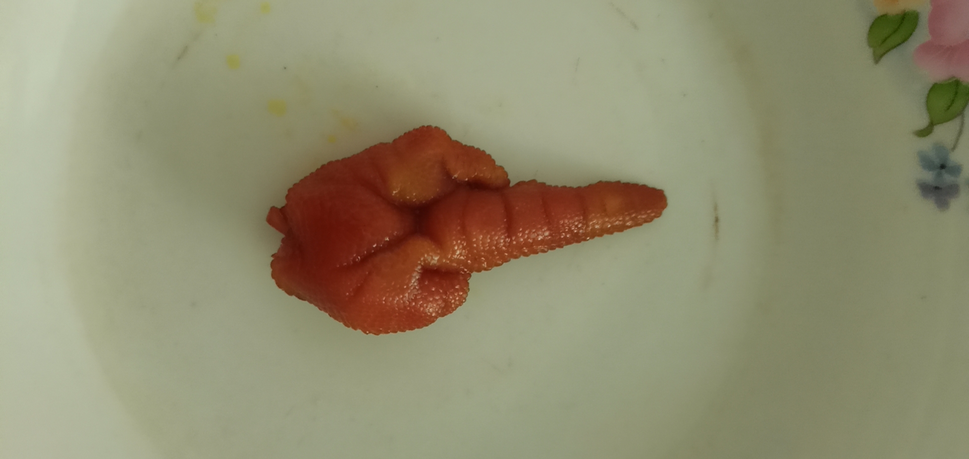 我被一只鸡脚给鄙视了?