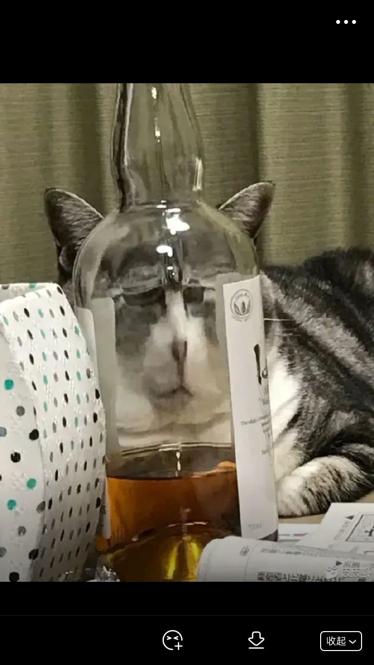 阿虚-kurv _ 哔哩哔哩相簿