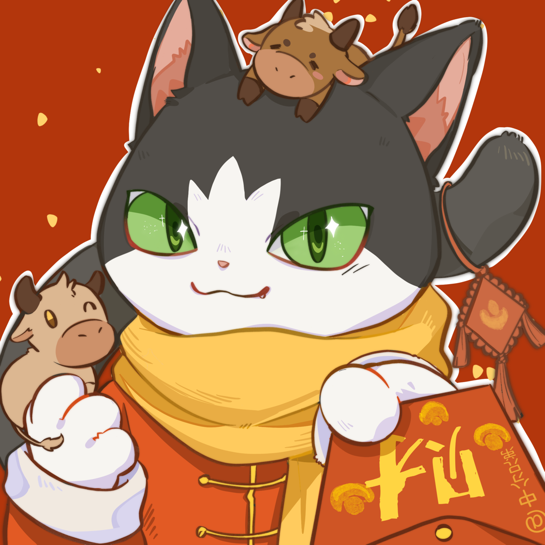 花花与三猫catlive _ 哔哩哔哩相簿