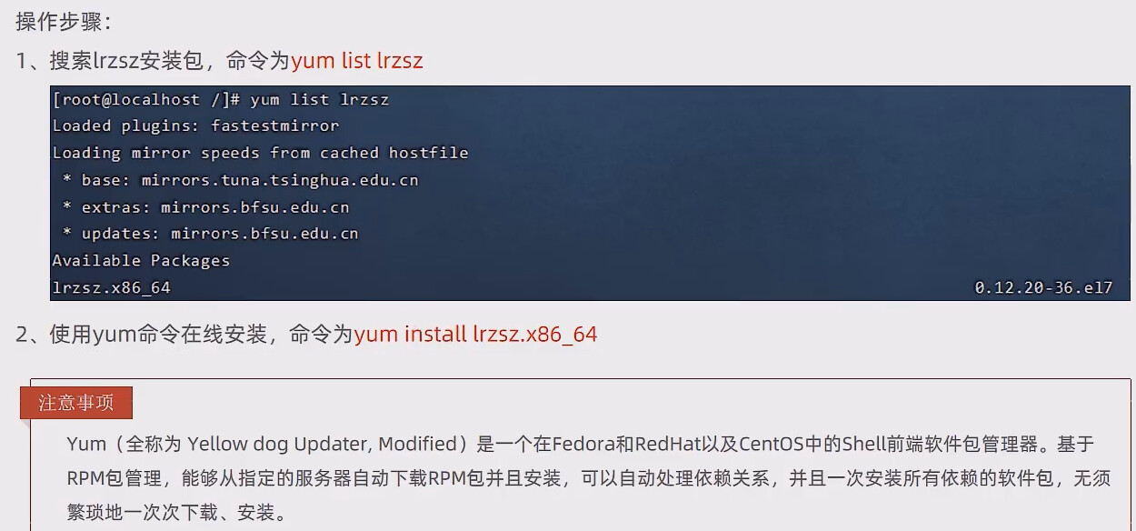 image-20230116123141162