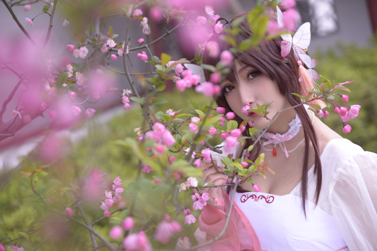 巴鲁巴鲁镜花水月乐正绫cosplay5