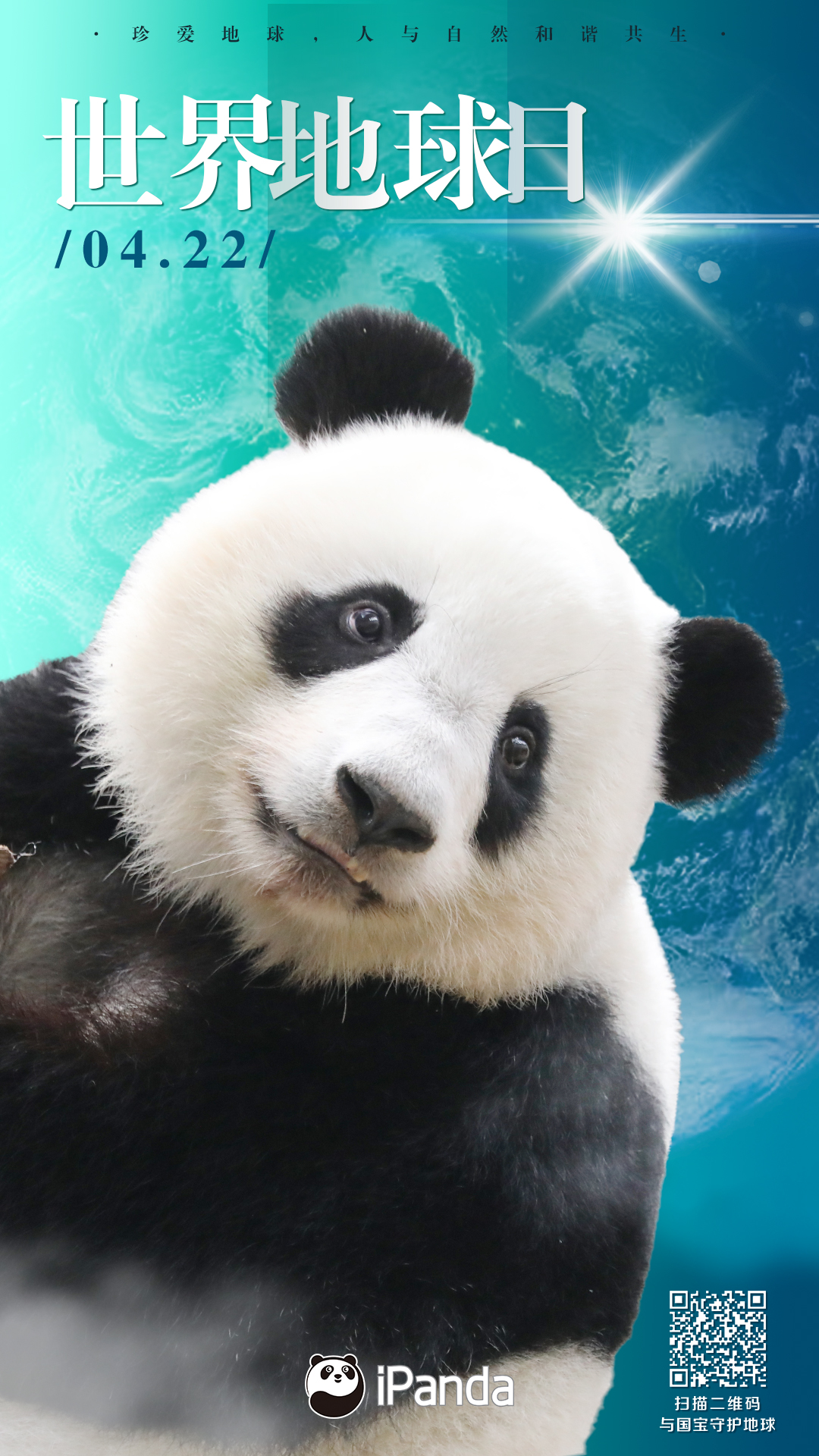 ipanda熊猫频道 _ 哔哩哔哩相簿