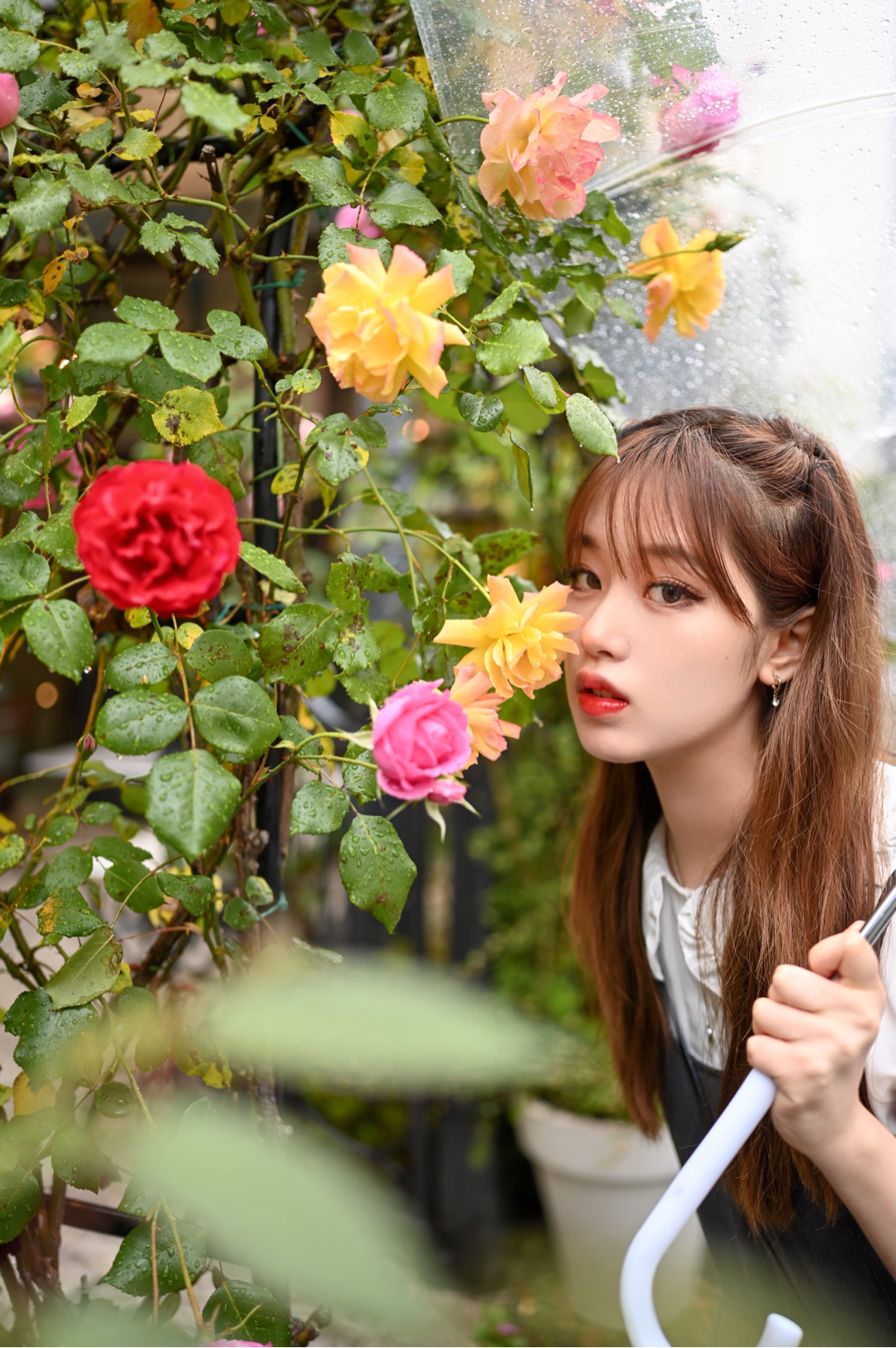 Anti Lover 哔哩哔哩相簿