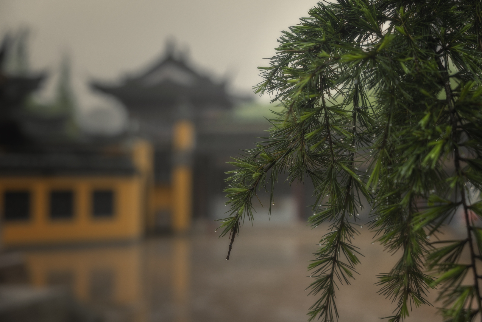 京华秋雨