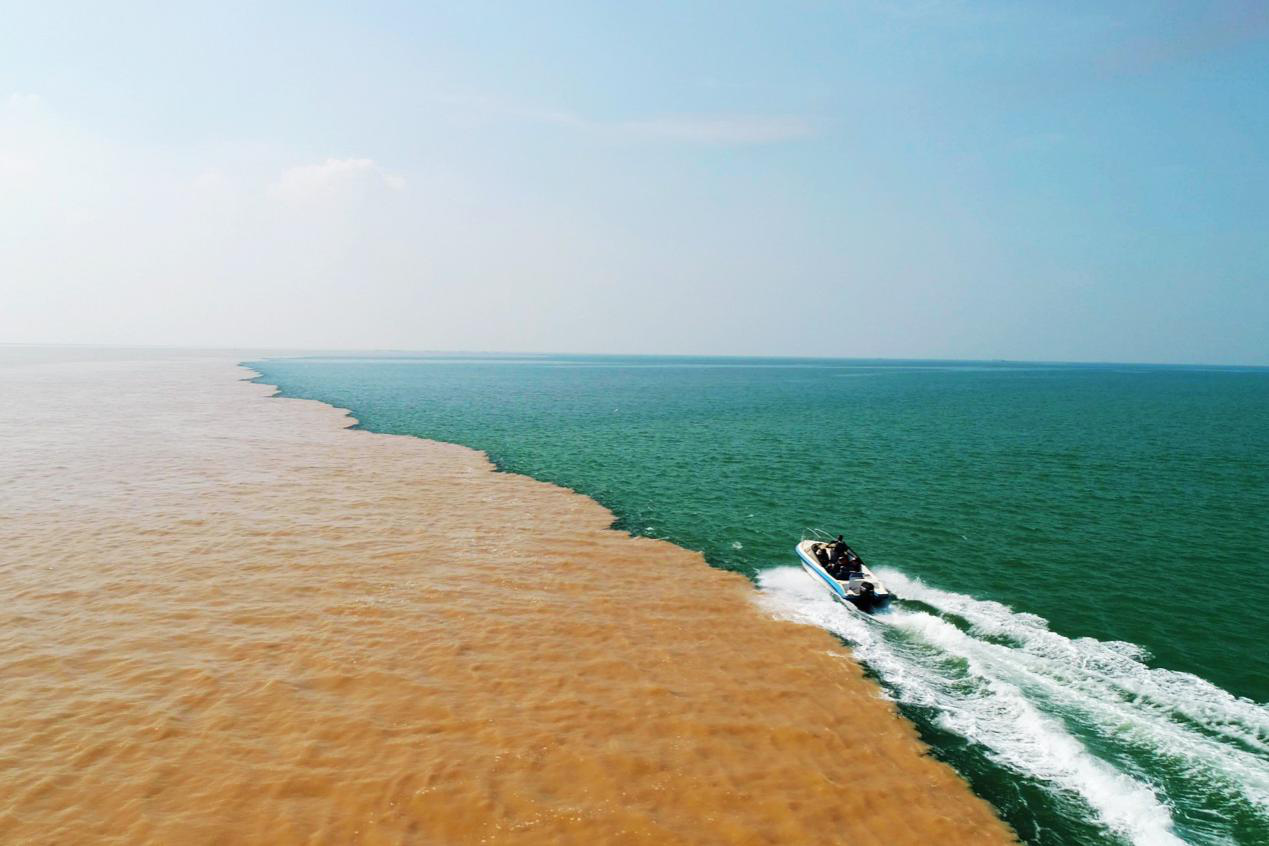 黄河入海口生态旅游区图片