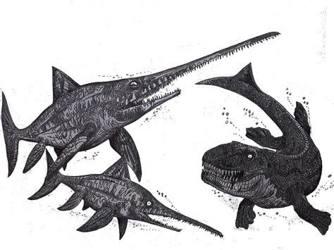 举报 #古生物# 复原图 真鼻龙(eurhinosaurus)与