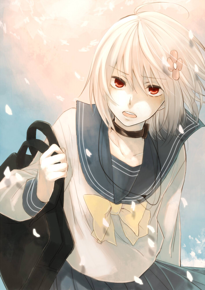 哔哩哔哩相簿,绘你所想,拍你所爱