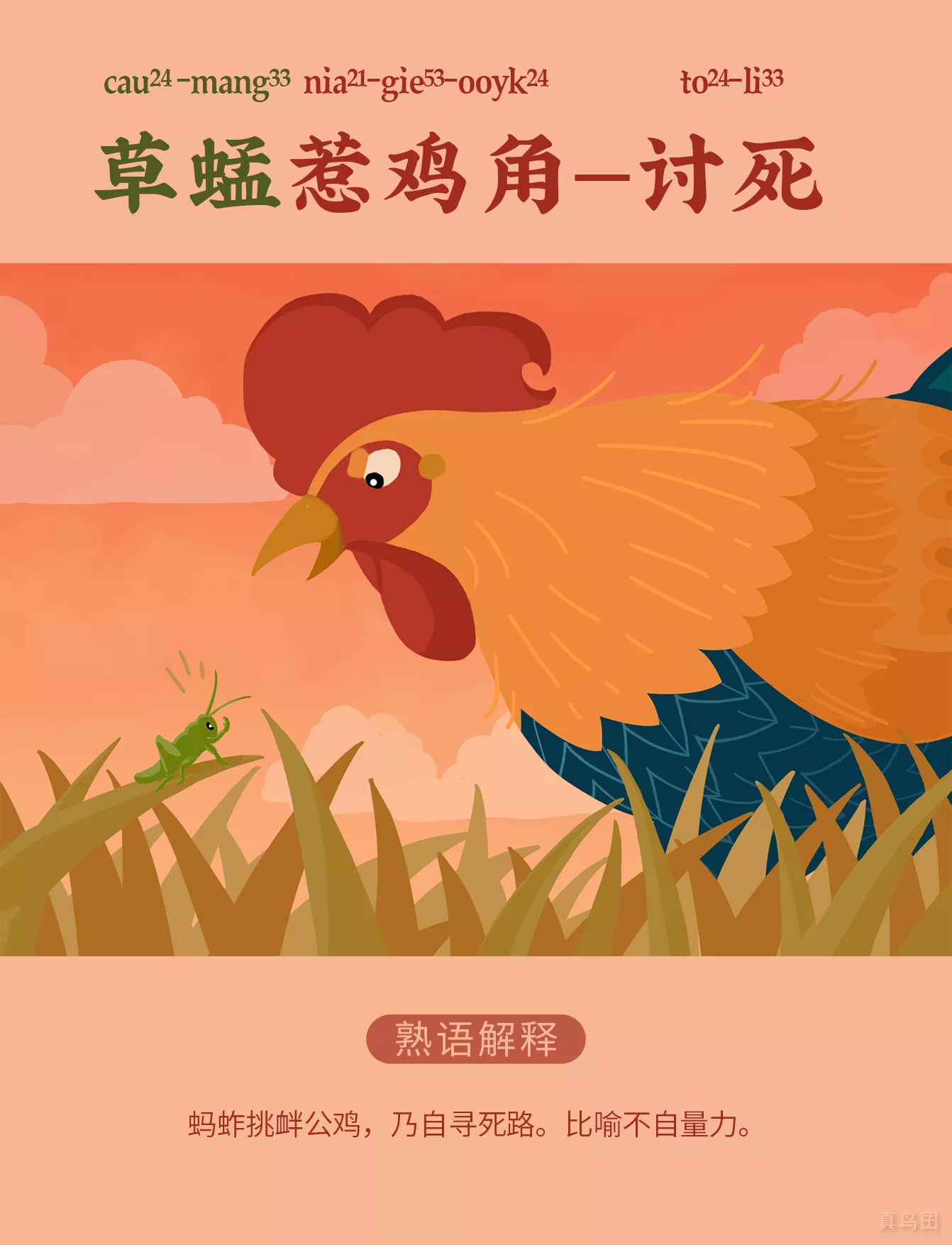 真鸟囝福州话学堂 哔哩哔哩相簿