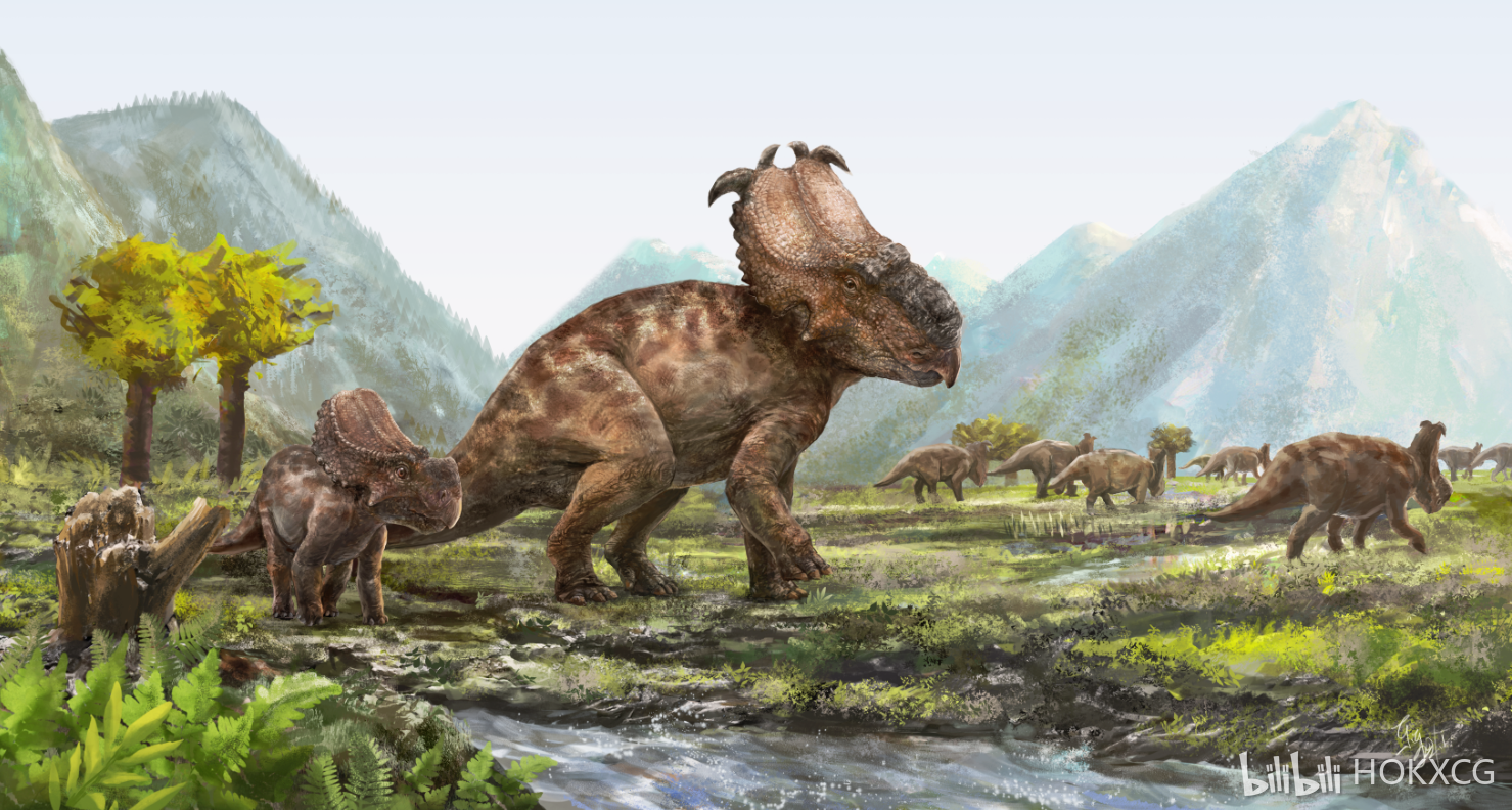 厚鼻龙( pachyrhinosaurus) ,参考加拿大厚鼻龙