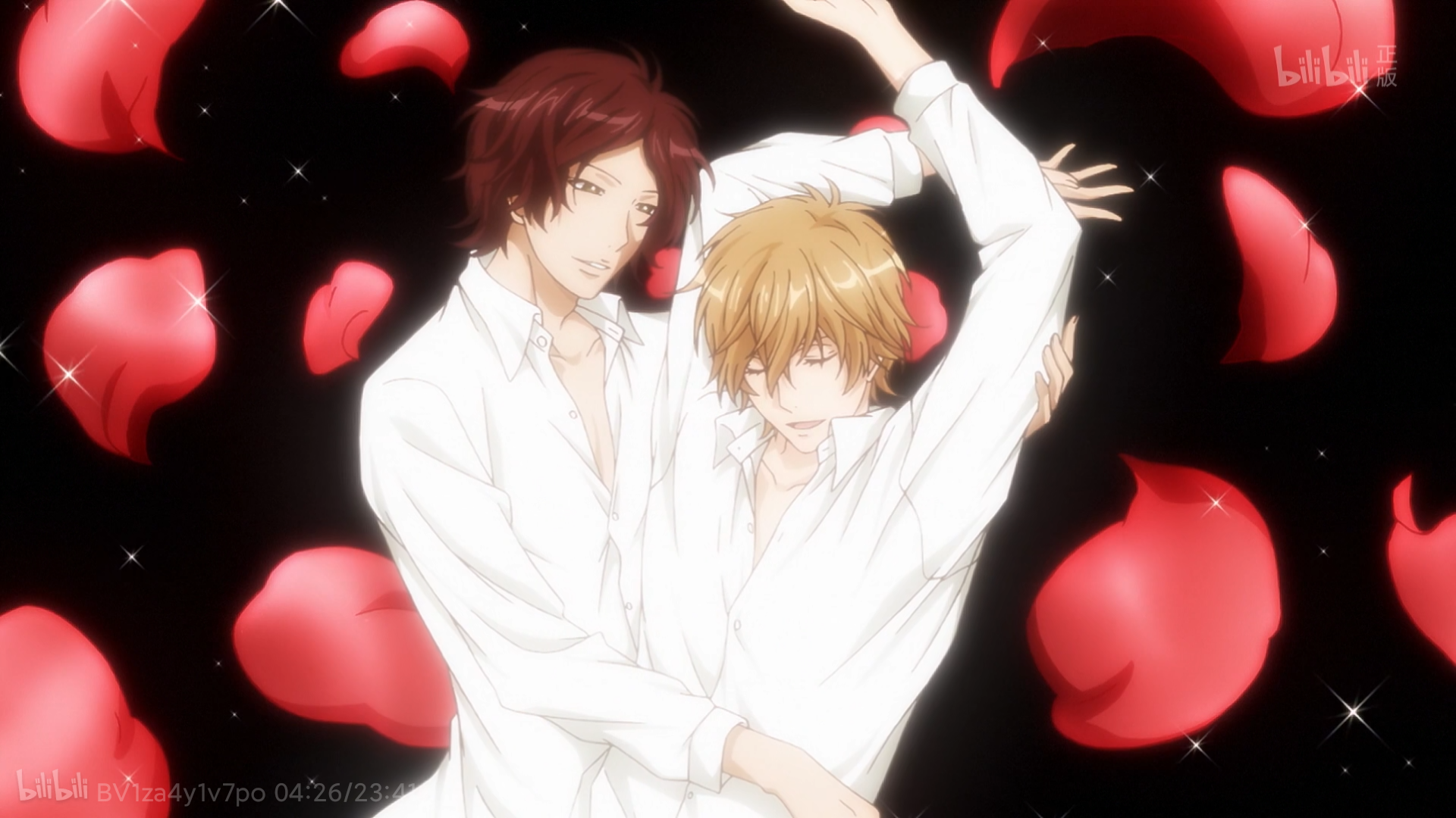 极光的舞蹈 _ 哔哩哔哩相簿