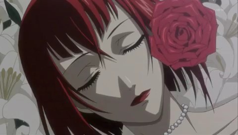 哔哩哔哩相簿,绘你所想,拍你所爱