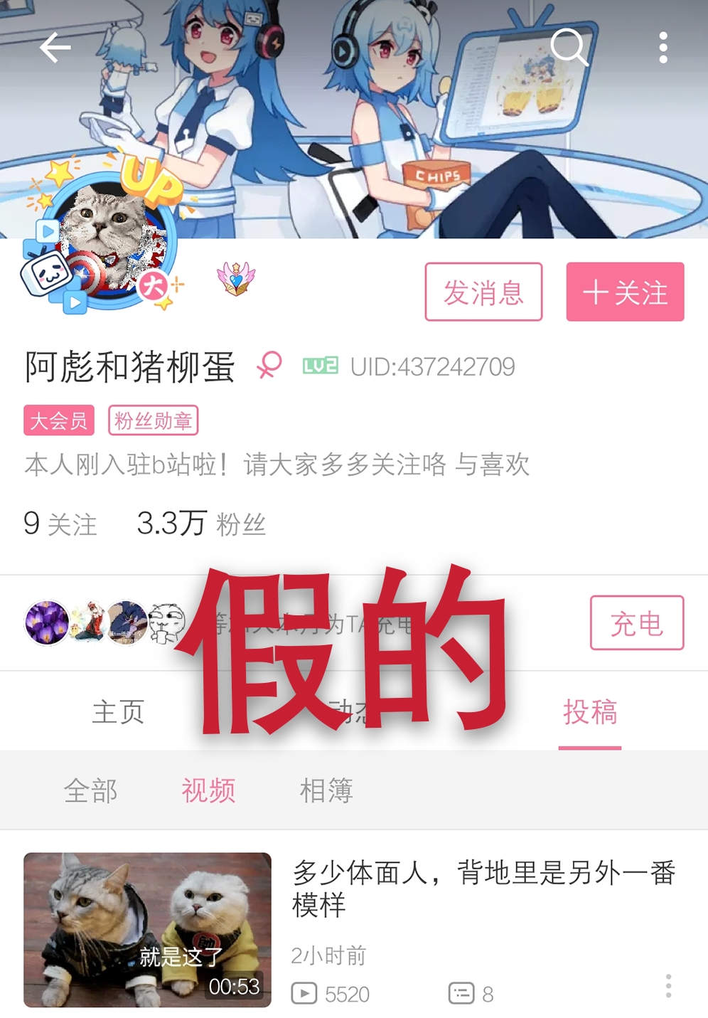 在下铁头阿彪 _ 哔哩哔哩相簿