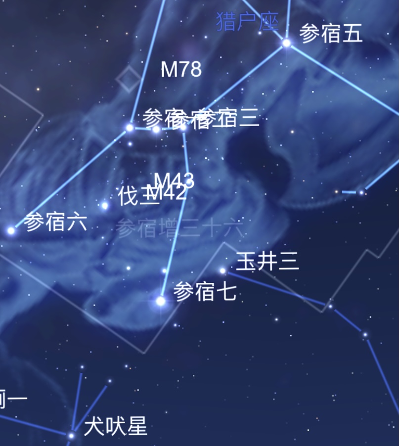 兔斯基-crisper _ 哔哩哔哩相簿