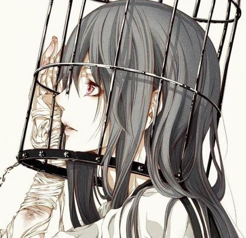 林小碟吖