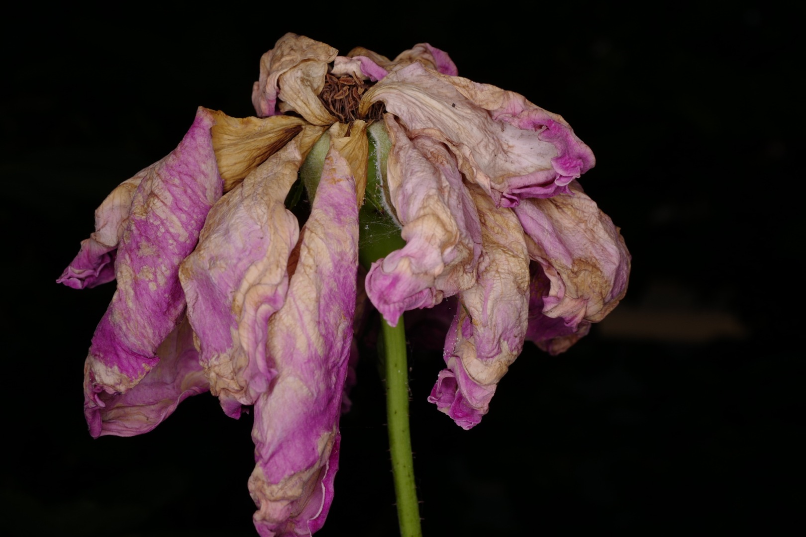 不是好习惯 _ 哔哩哔哩相簿