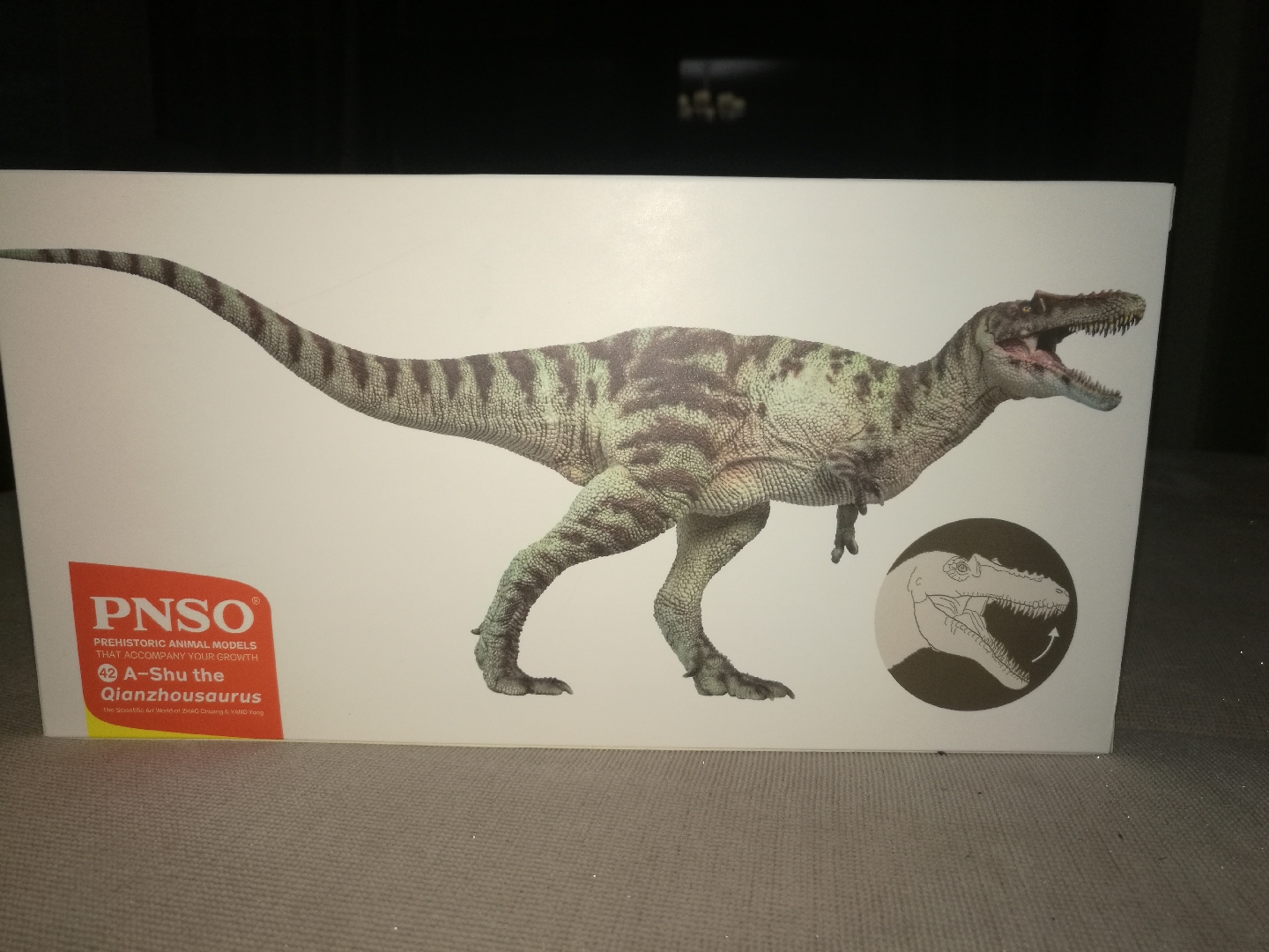 哆啦bz _ 哔哩哔哩相簿