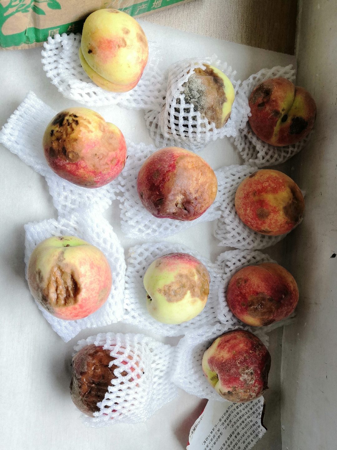 真倒霉,买了一箱桃子,到手全是烂的!