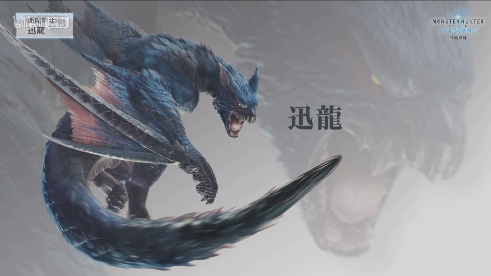 口口ori在线打口头 _ 哔哩哔哩相簿