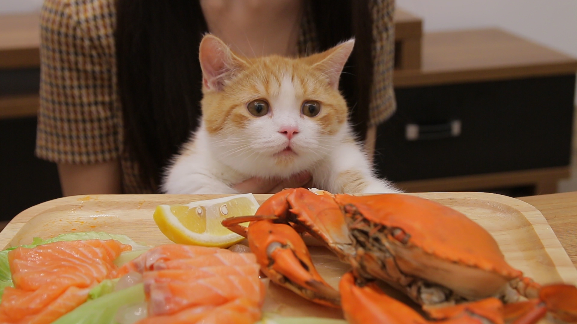 ta 的直播间轮播中【潜水员戴夫】开寿司店啦~玩游戏无猫~花花与三猫