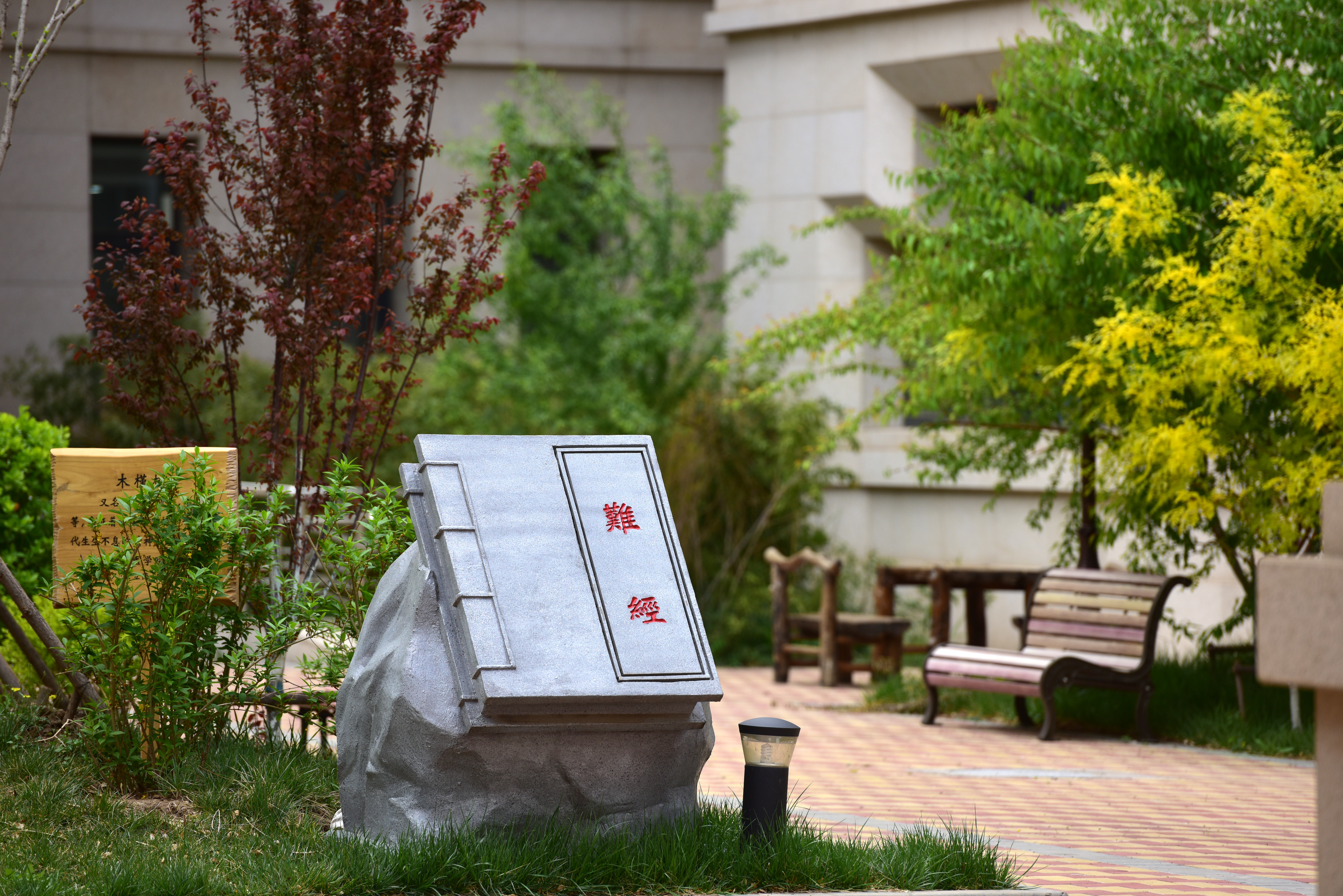 天津中医药大学新校区图片