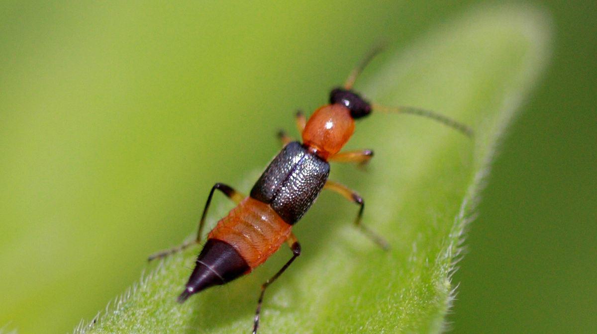 kingdrawcse _ 哔哩哔哩相簿