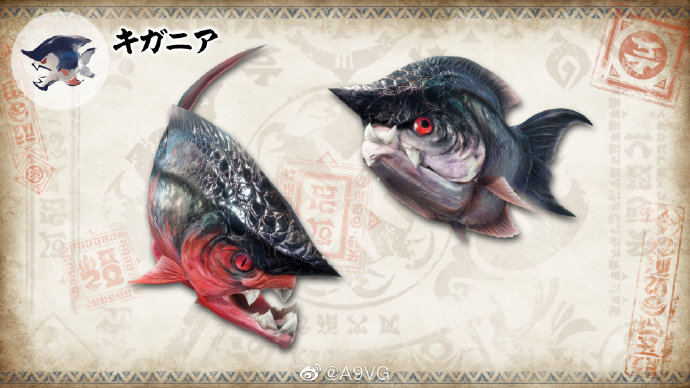 a9vg _ 哔哩哔哩相簿