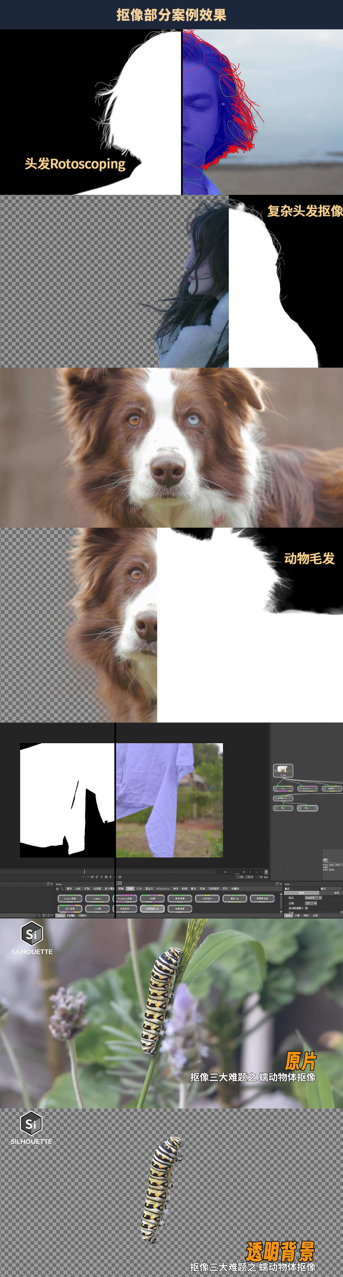 课程介绍