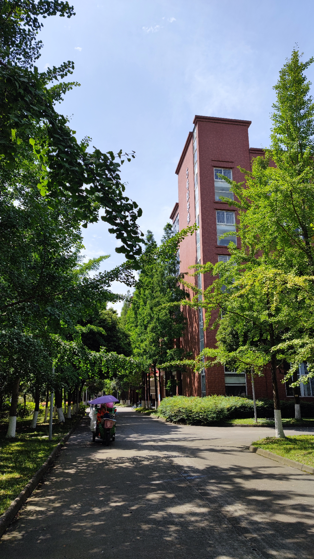 西南交通大学