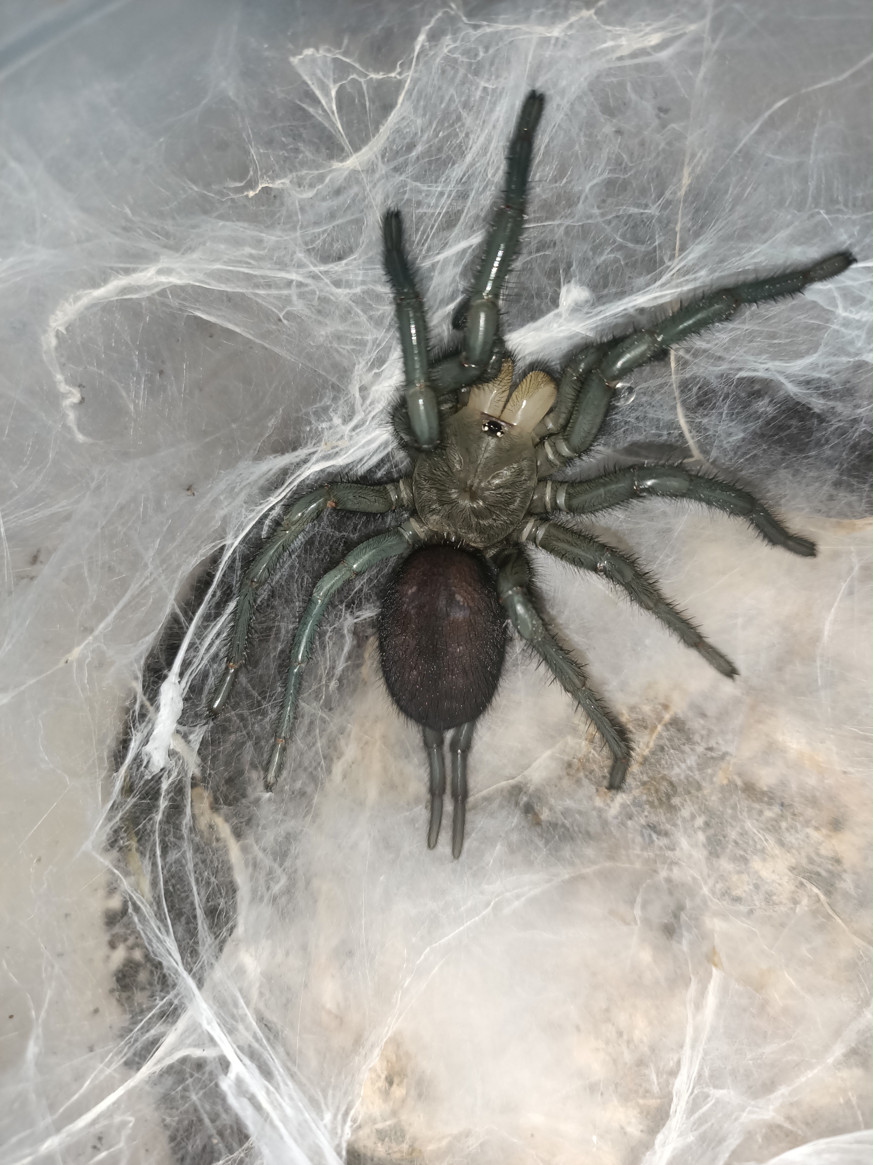 加入黑名单 举报 莫迪来了 左边第四条腿 2020-07-08 20:20 上户大疣