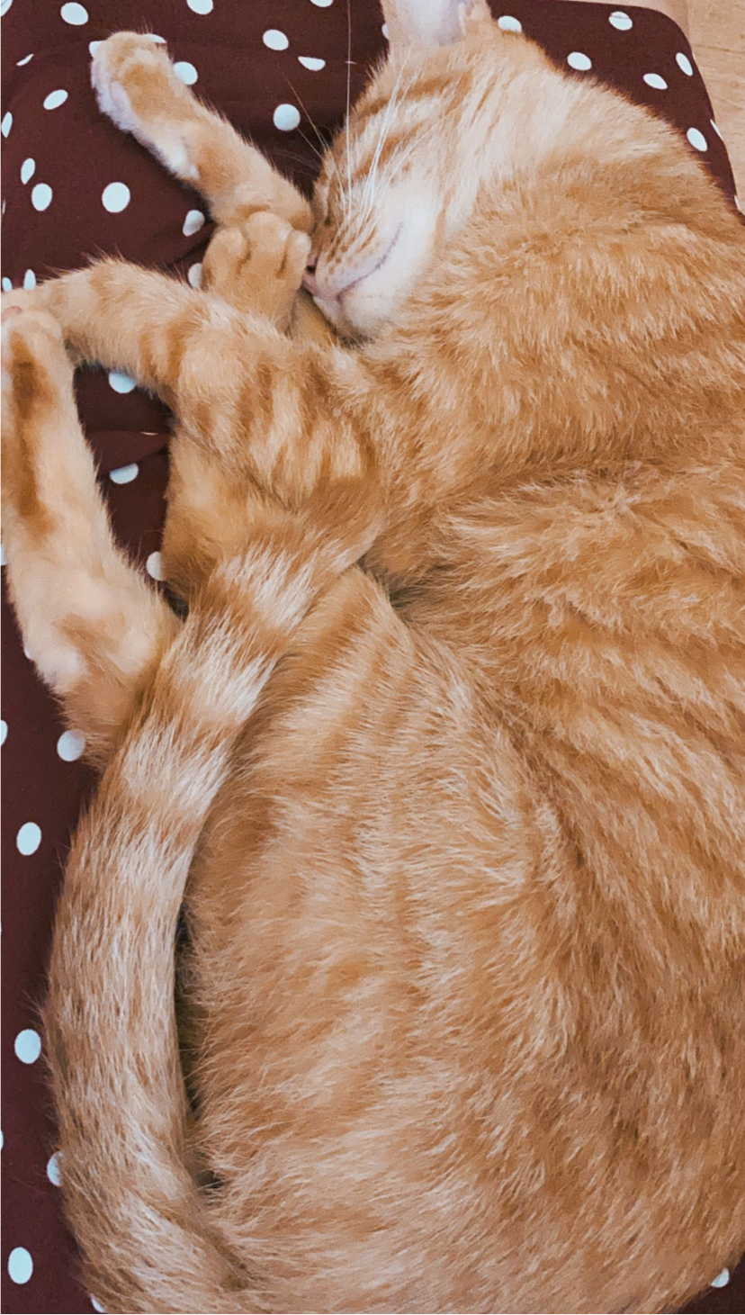 停的躲避和寻找,具体是什么已经记不清了,只记得角落里有一个蓝衣女鬼