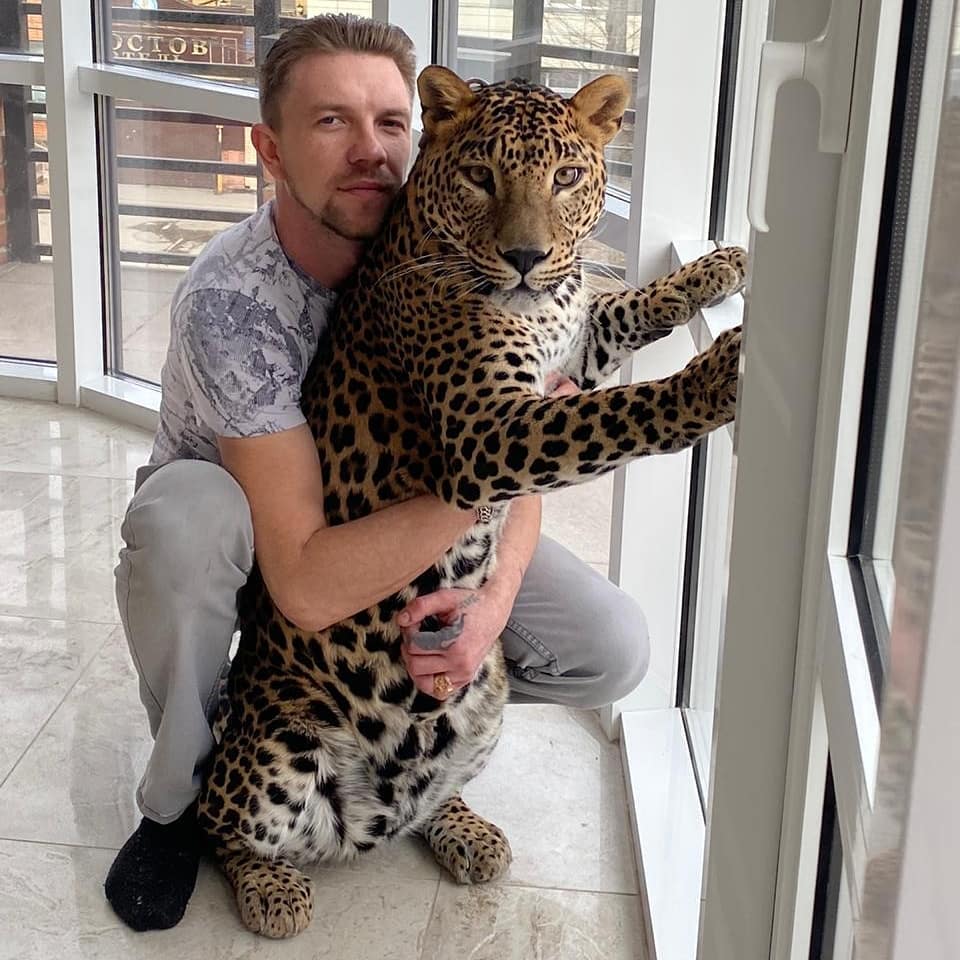 美洲狮梅西 _ 哔哩哔哩相簿