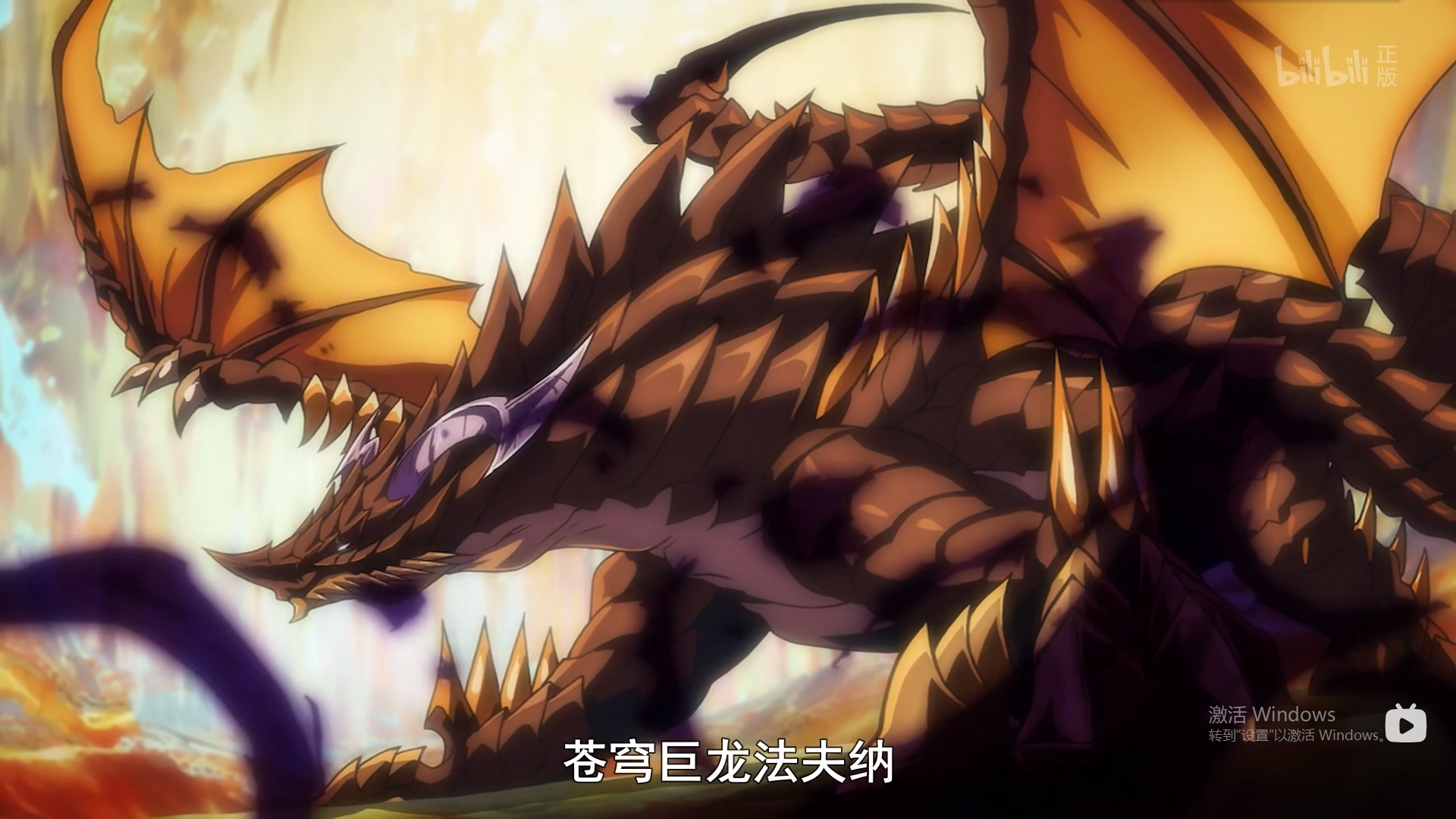 鲨鱼叔叔319 _ 哔哩哔哩相簿