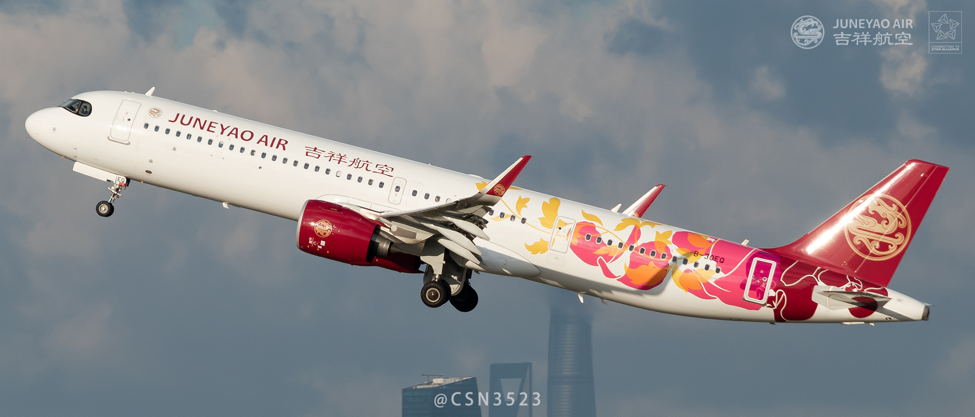 天气好当然要拍飞机[藏狐] #航空摄影#  pic by @csn3523