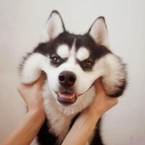 orange橙汁juice _ 哔哩哔哩相簿