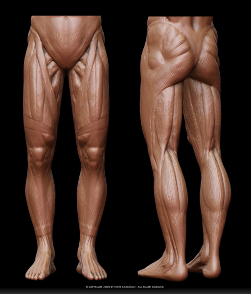 原画人在线学院 _ 哔哩哔哩相簿