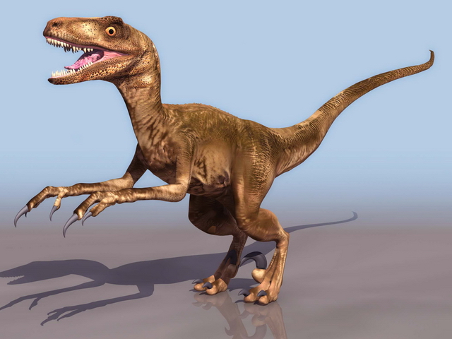 上传时间:2020-06-26 22:15:07