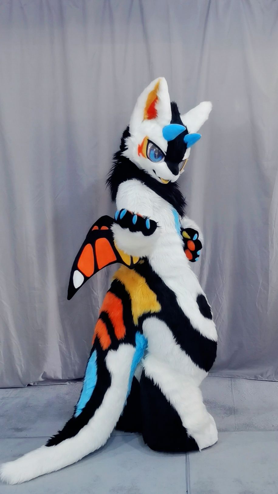 果糖含量 _ 哔哩哔哩相簿