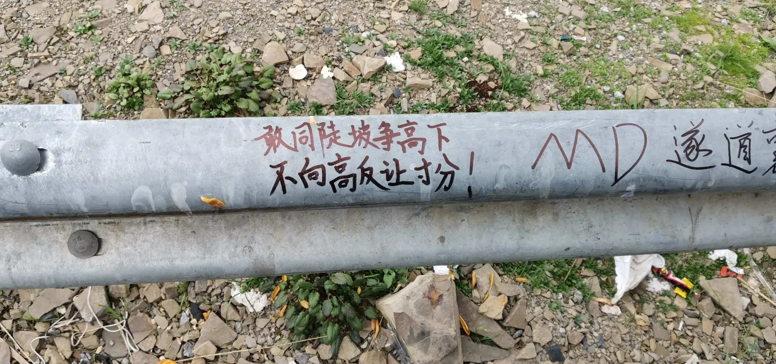 还有我写的:敢同陡坡争高下,不向高反让寸分。这句话改自“敢同恶鬼争高下,不向霸王让寸分”。哈人,可不敢乱说