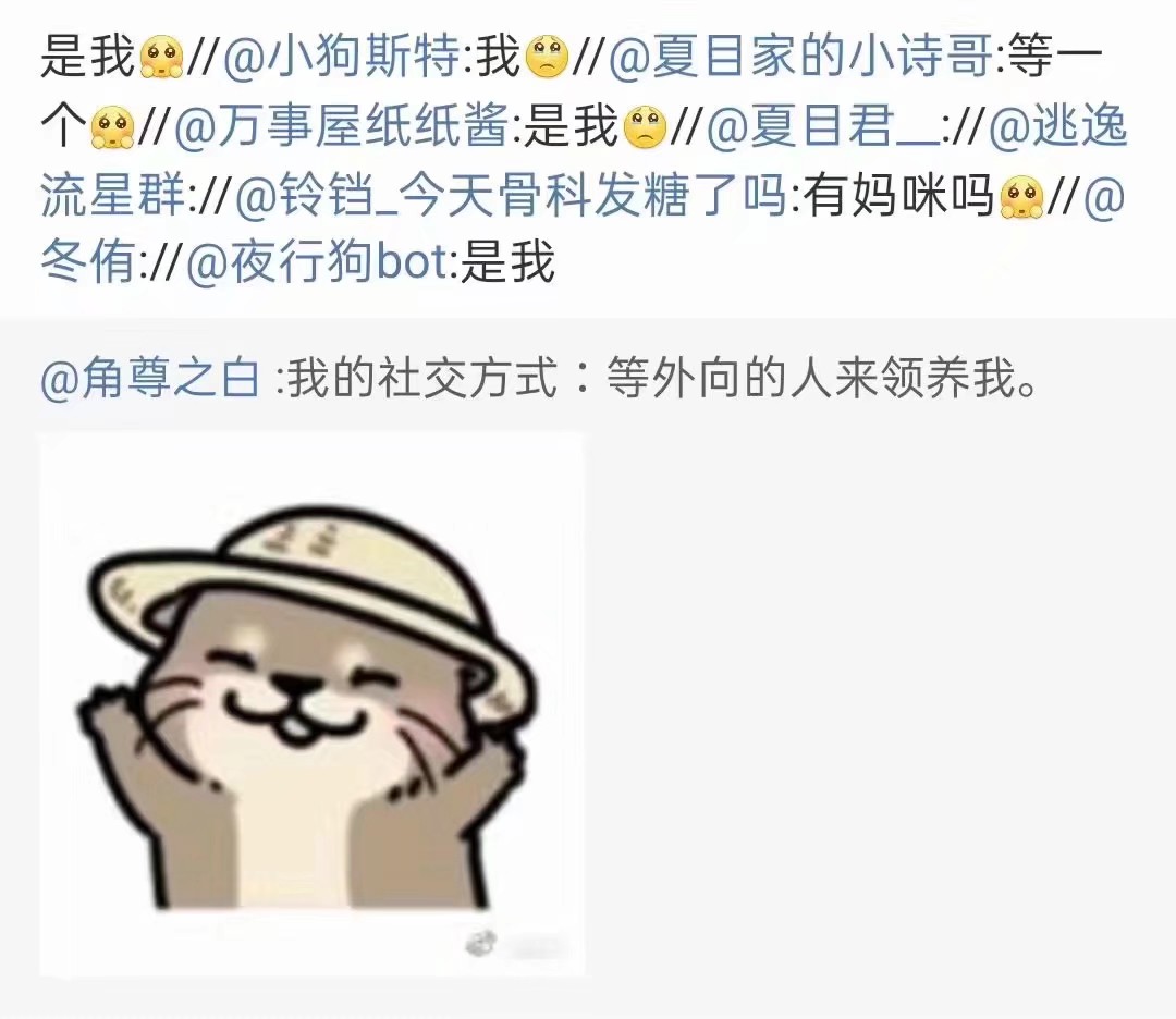 轻寒________ _ 哔哩哔哩相簿