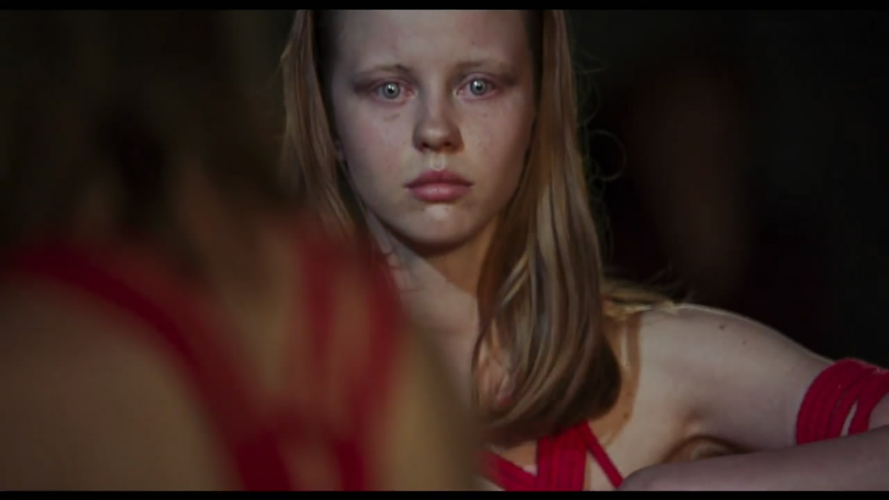 哔哩哔哩相簿,绘你所想,拍你所爱