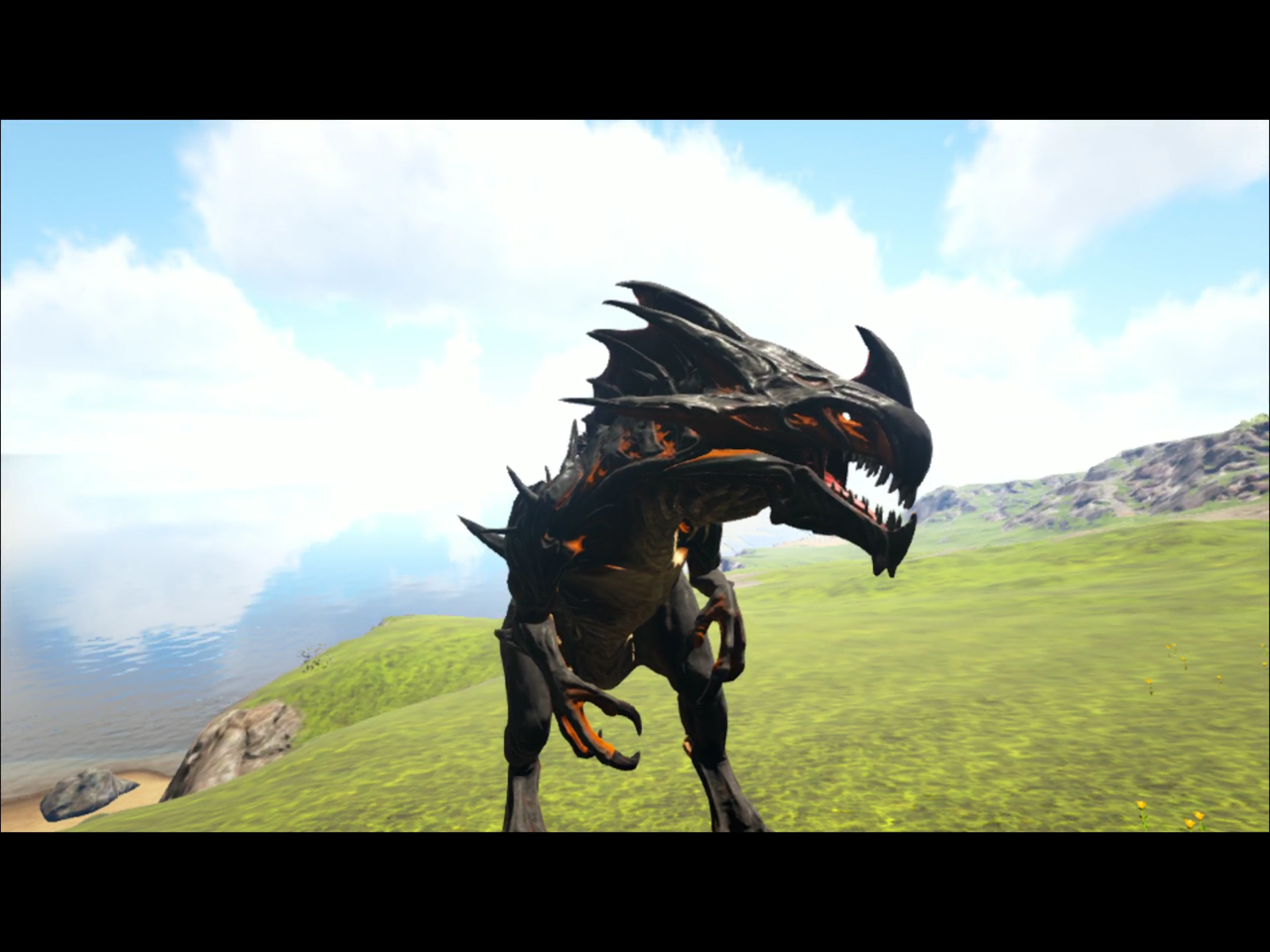 决定了,下期作死神国王