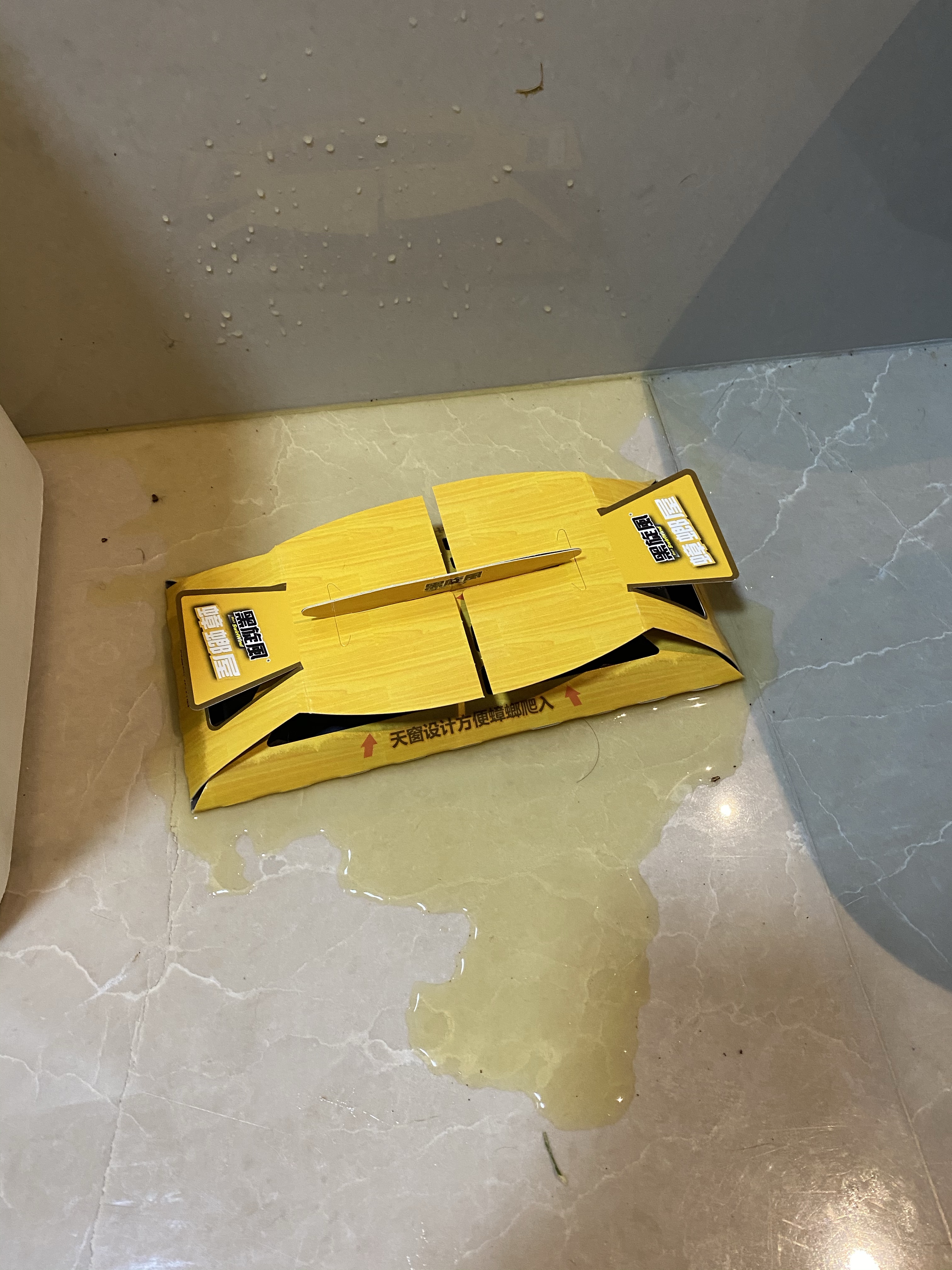 别人家的小猫咪都会抓蟑螂,你个渣猫不帮忙就算了,还给我把蟑螂屋给尿