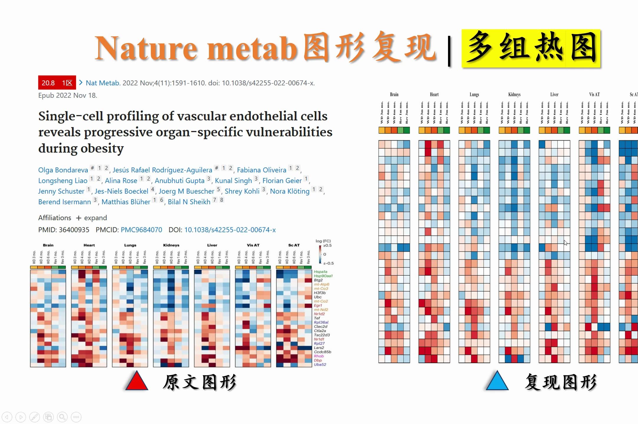 Nature metab.图形复现 | 多组热图绘制哔哩哔哩bilibili