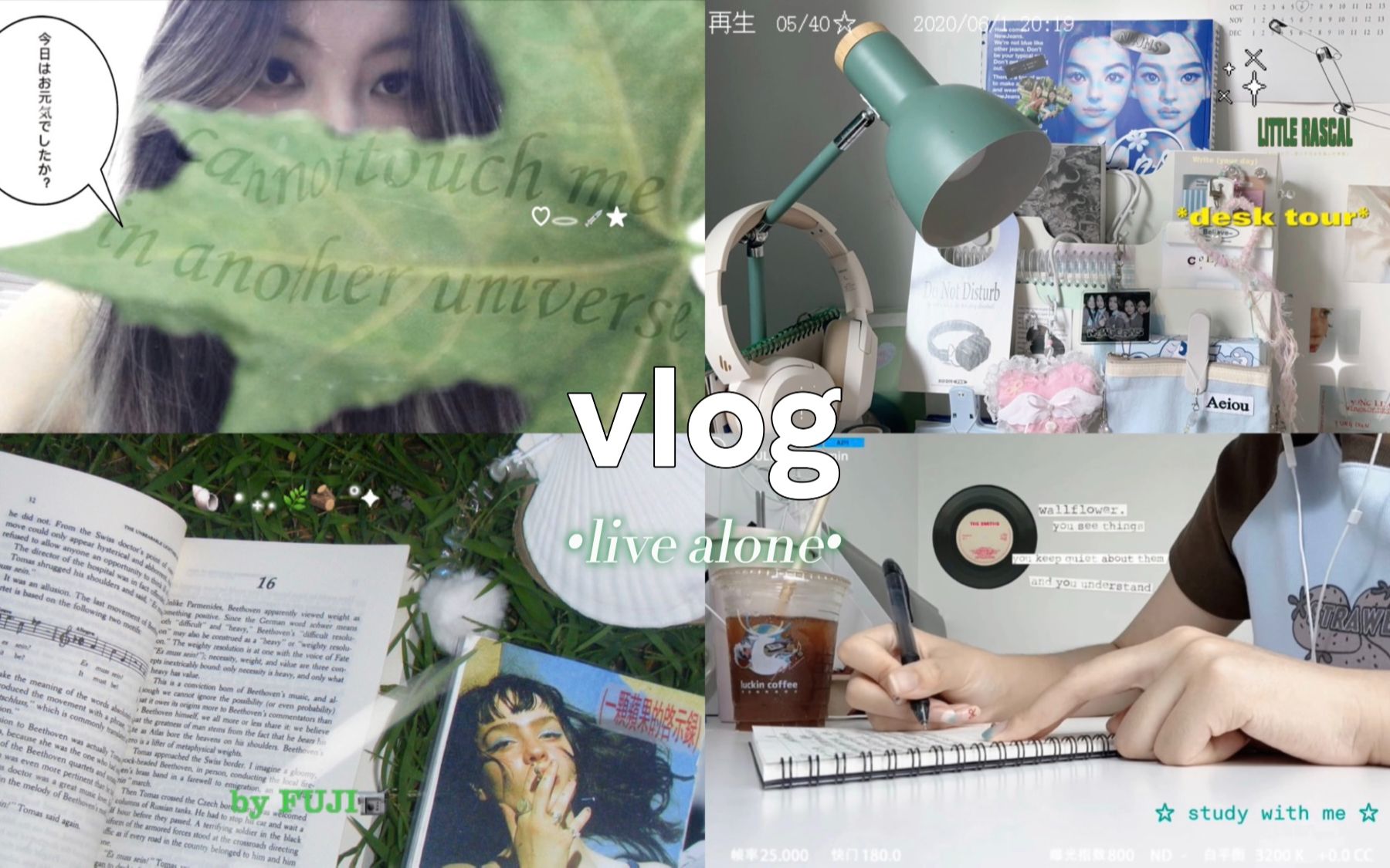 [图]vlog：舒适自在的独居生活🍃独处不无聊指南｜调节情绪｜书单分享｜植物书签｜开箱｜读书｜手帐拼贴｜治愈