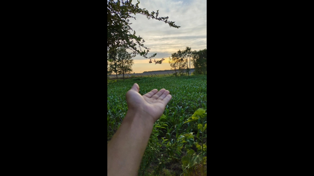 触碰到远方的晚霞,却怎么也够不着,举起手的一刹那,触摸着空气的清凉