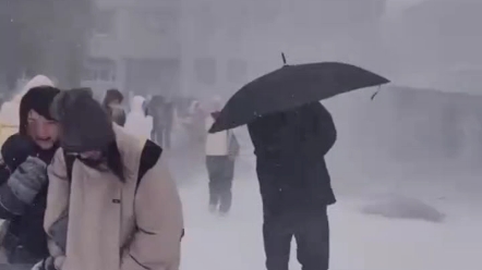 [图]11月6日，黑龙江 哈尔滨 暴雪，大学生吐槽，这个天还要上课