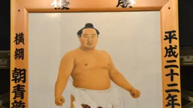 朝青龙明德-哔哩哔哩_Bilibili