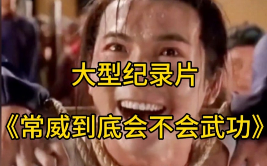 大型纪录片《常威到底会不会武功》